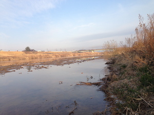 2013-03-24 06.37.43.jpg